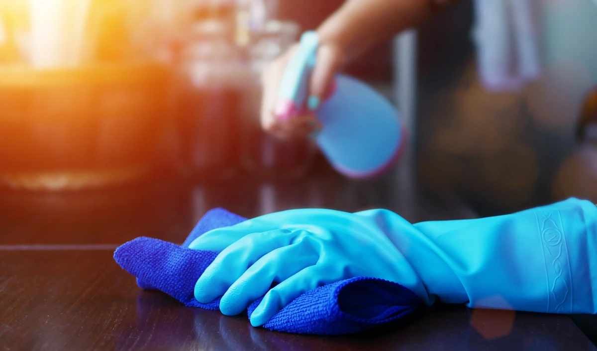2 hands cleaning villa